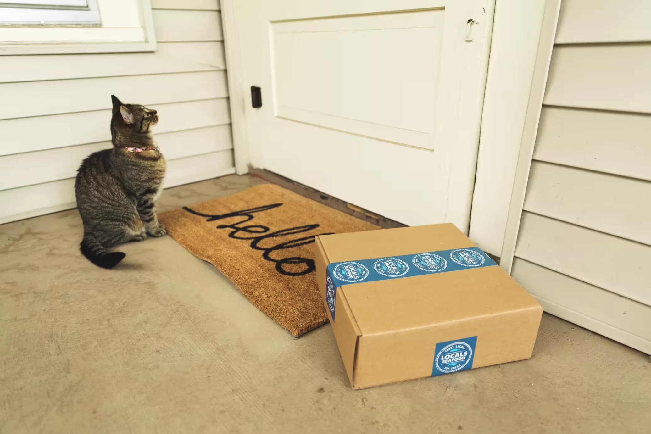 Cannabis Delivery