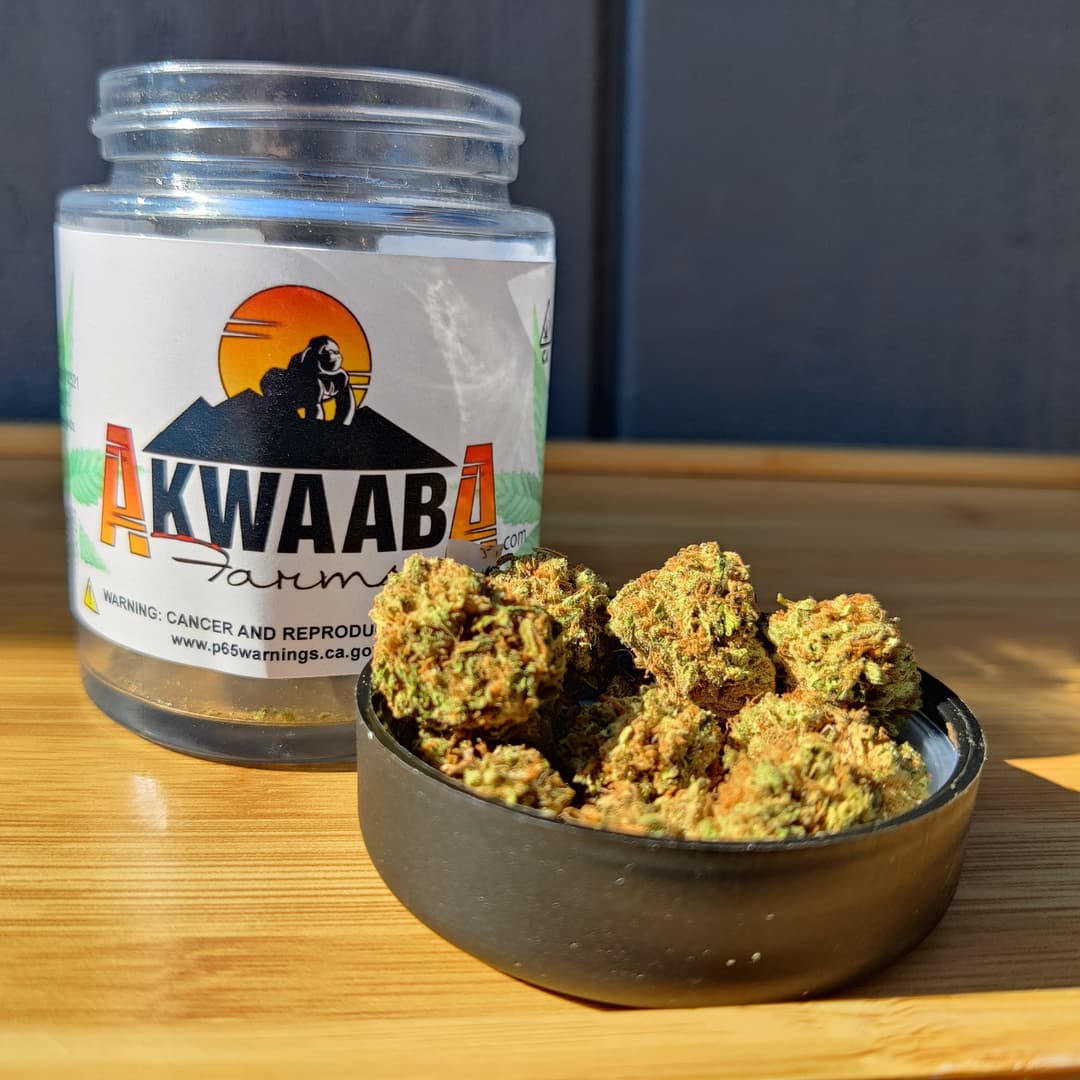 Akwaaba - Harvest Sale