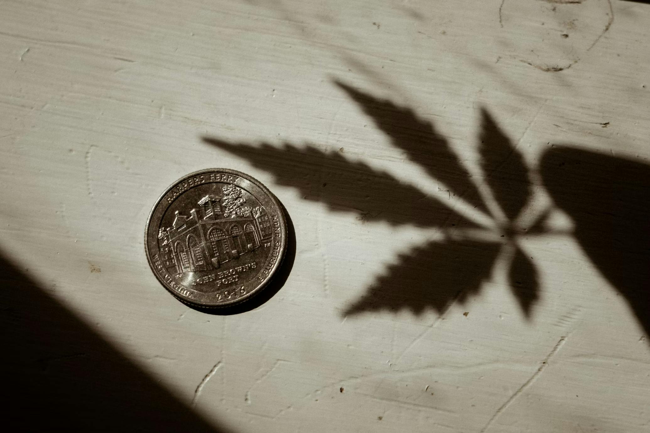 A quarter with the shadow of a cannabis leaf